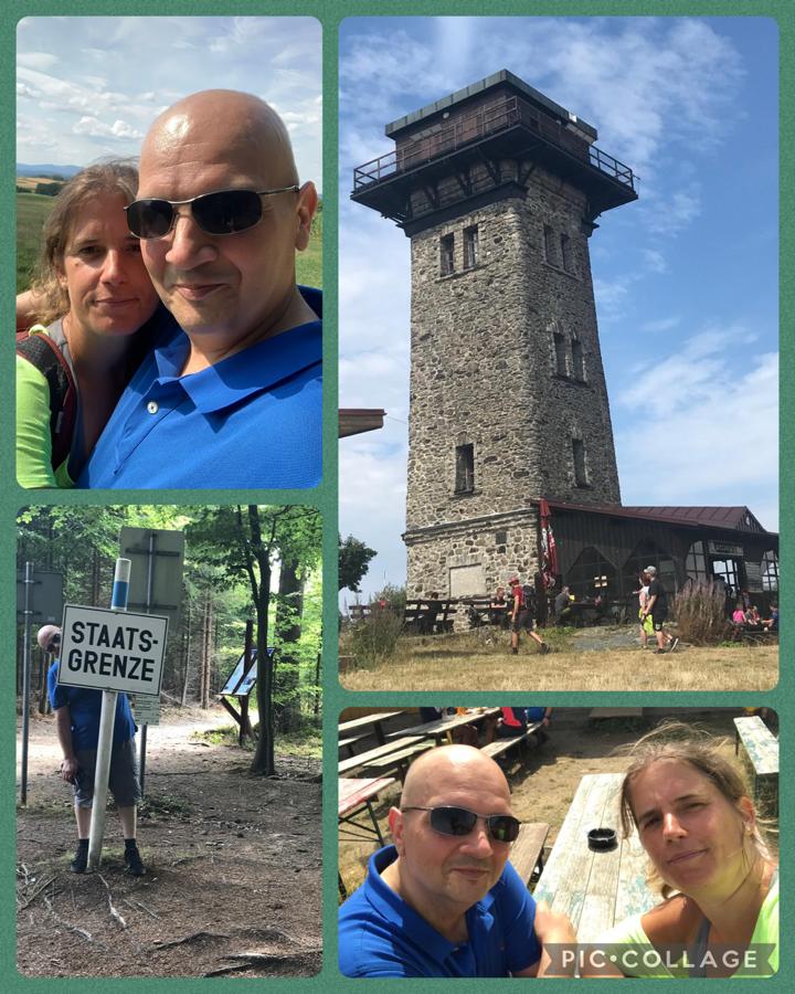 Collage von Selfies, dem Turm und dem Wald
