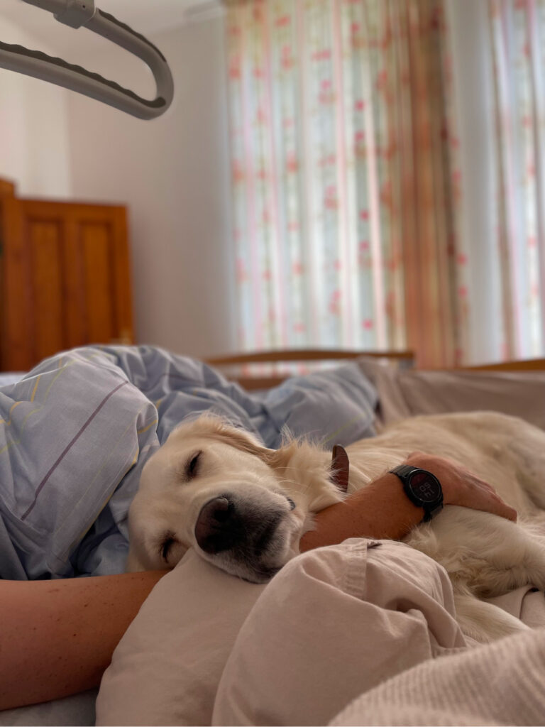 Der Hund liegt mit dem Patienten im Bett